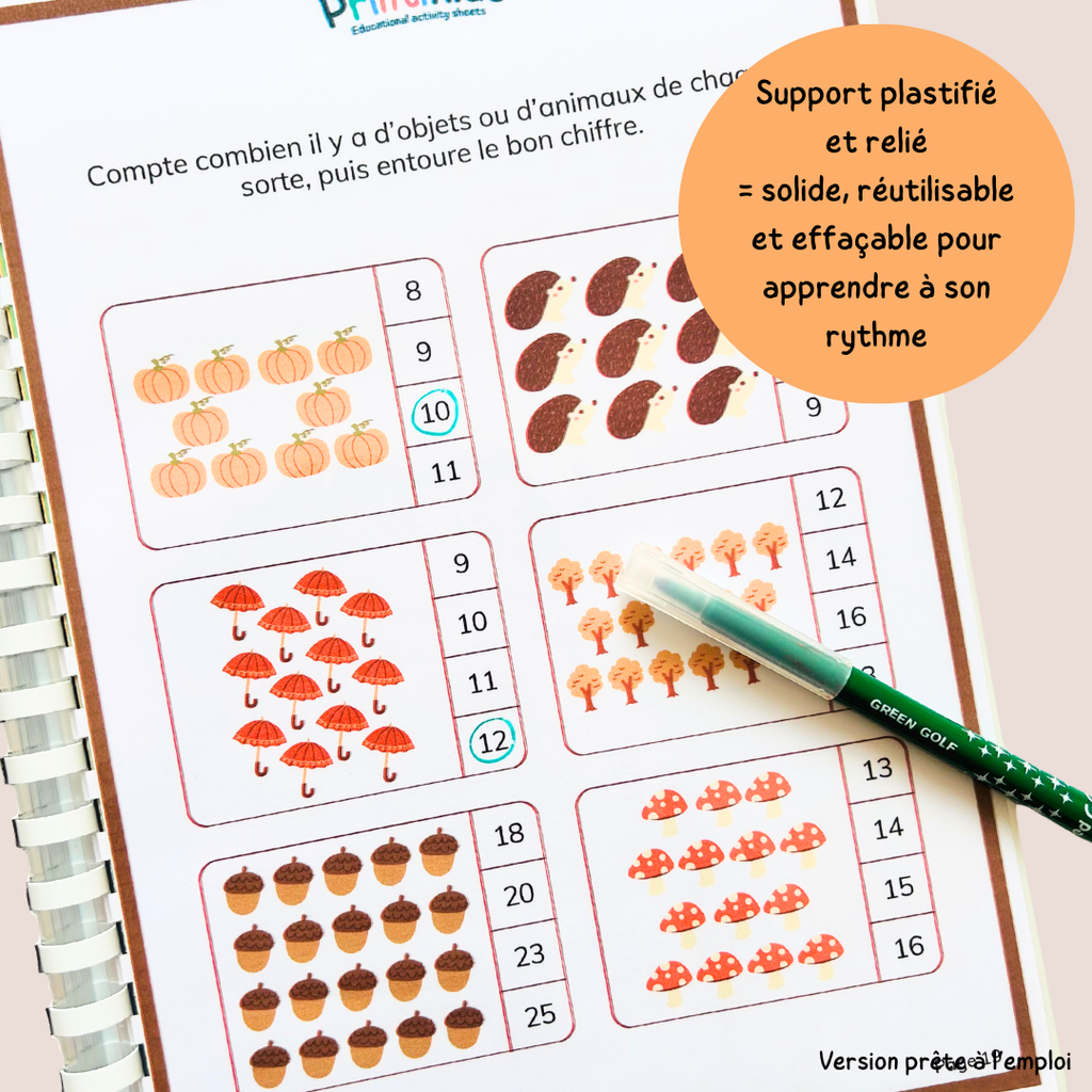 Pack activités automne – Pack de 20 fiches ludiques et éducatives - CP CE1