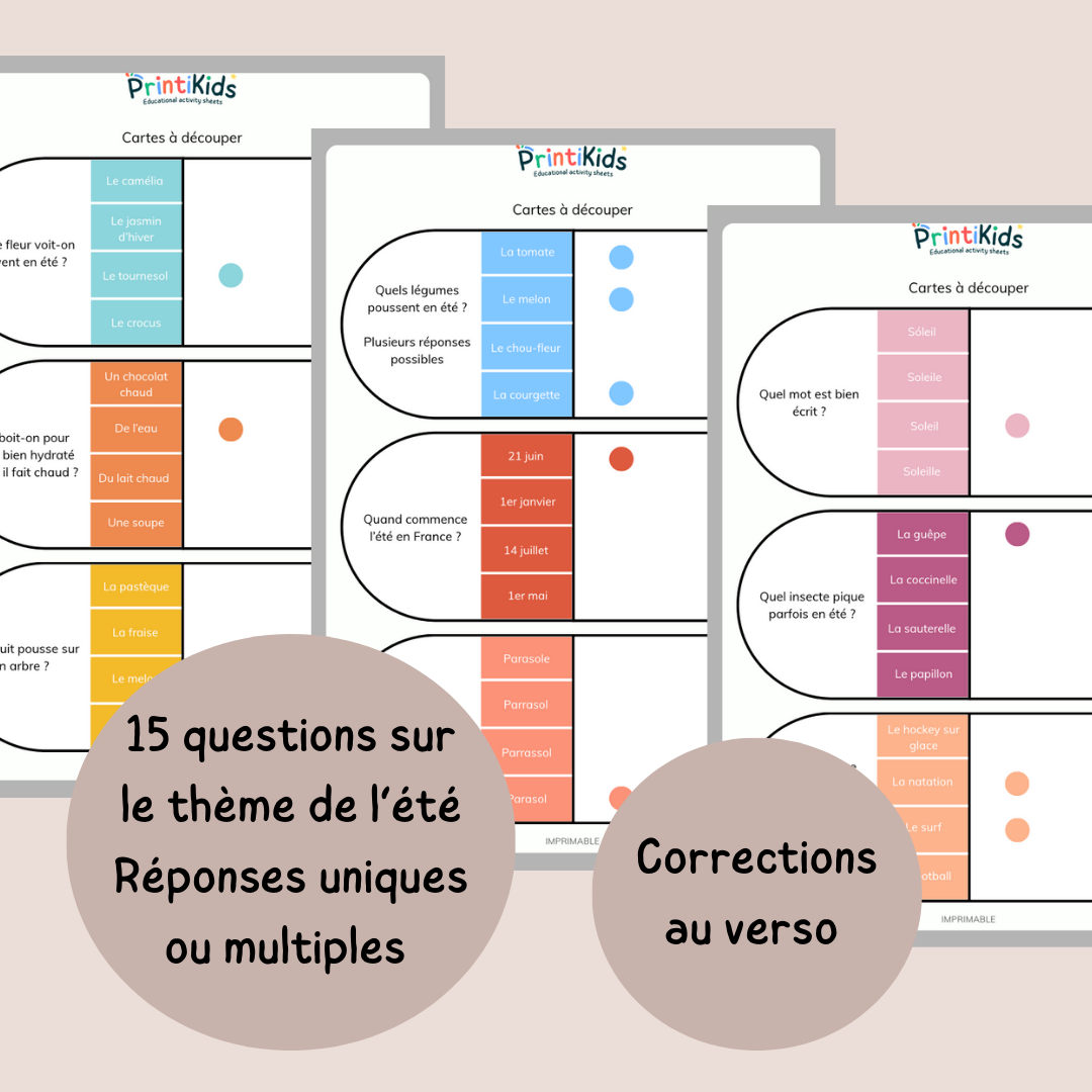 Cartes à pinces de l'été – Jeu de lecture et compréhension CP CE1 CE2