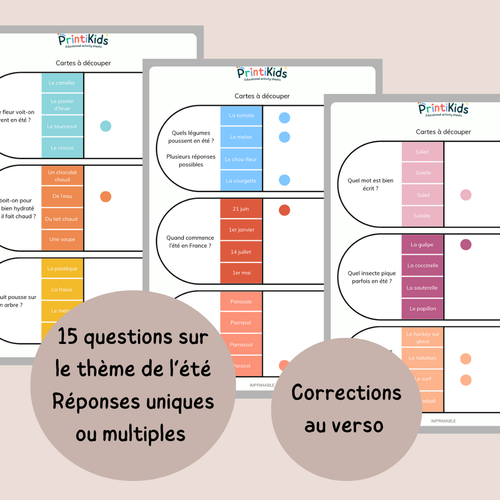 Cartes à pinces de l'été – Jeu de lecture et compréhension CP CE1 CE2