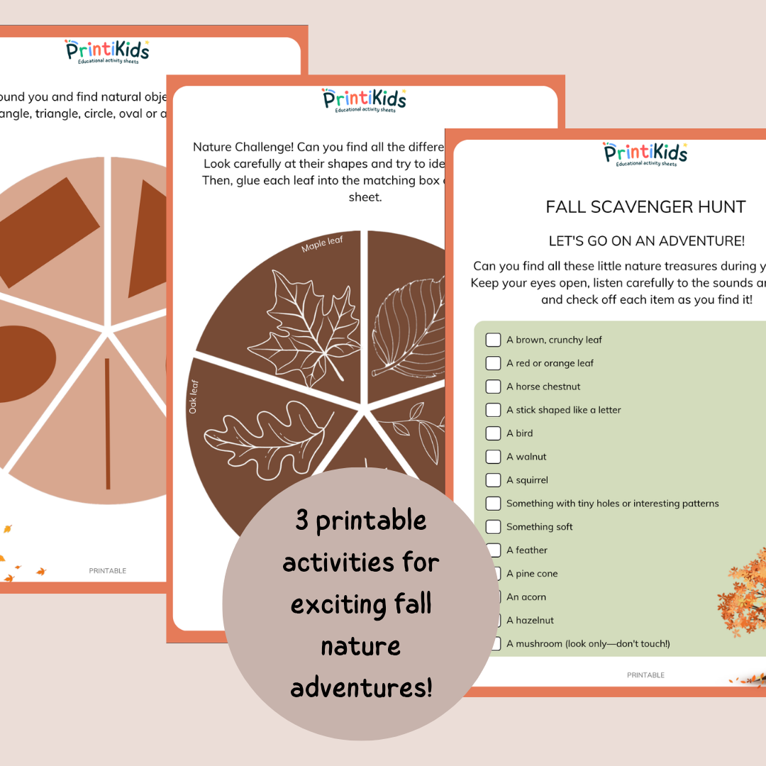 Free Fall Scavenger Hunt Printable – 3 Nature Activities – Grade 1 & Grade 2