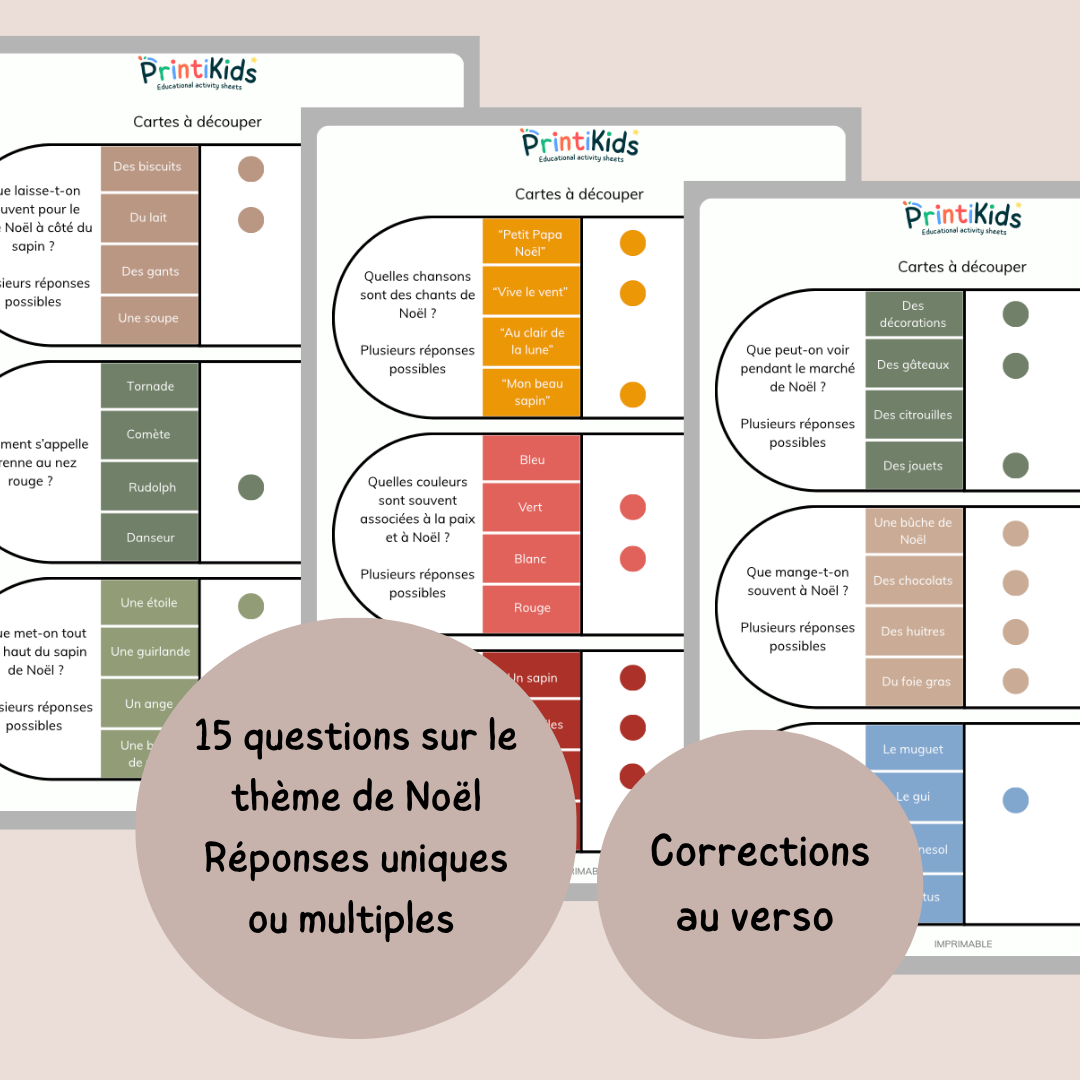 Cartes à pinces de Noël – Lecture et compréhension CP CE1 CE2