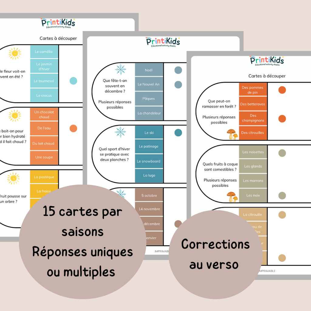 Cartes à pinces des saisons - activité autonome CP CE1