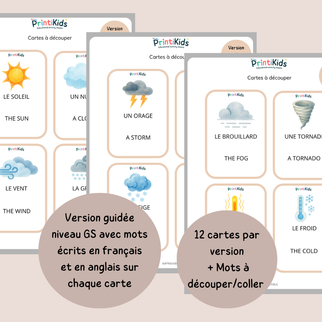 🇫🇷🇬🇧 Cartes météo bilingues français anglais – activité de manipulation - GS CP