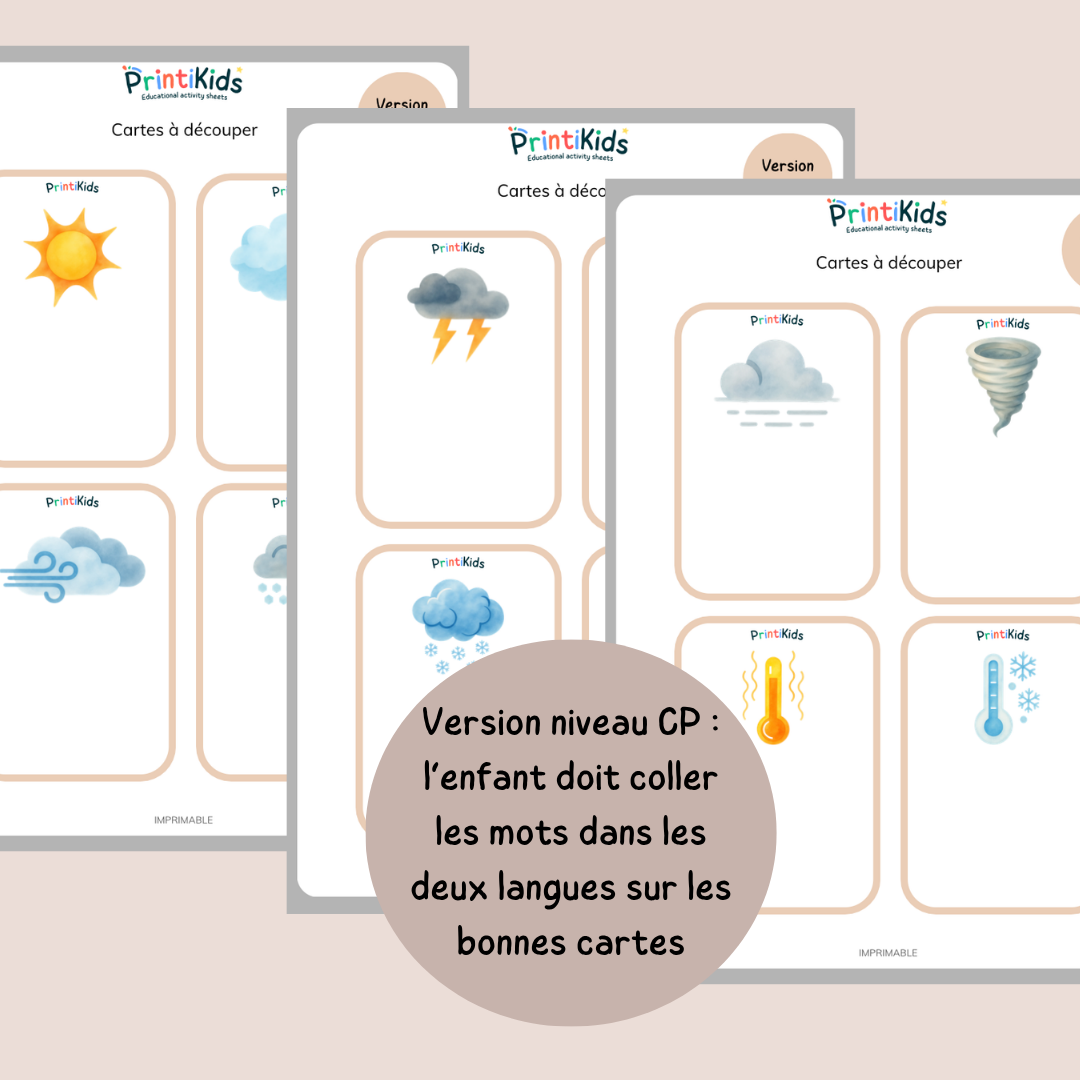 🇫🇷🇬🇧 Cartes météo bilingues français anglais – activité de manipulation - GS CP
