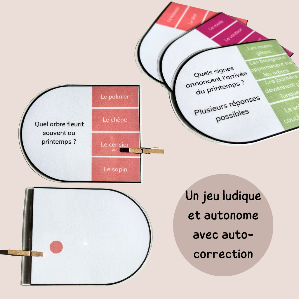 Cartes à pinces printemps – Jeu de lecture et compréhension CP CE1 CE2