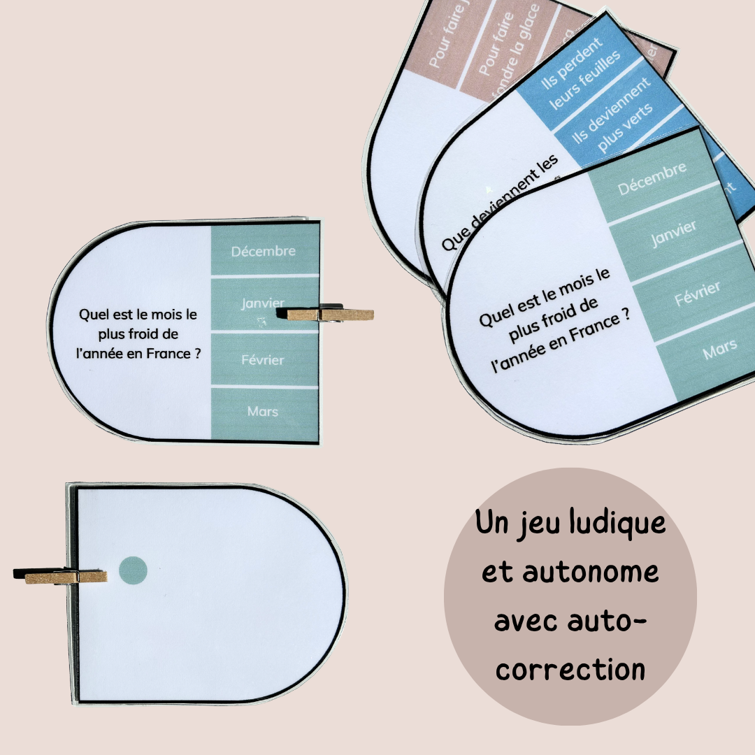 Cartes à pinces hiver – Lecture compréhension CP CE1 CE2