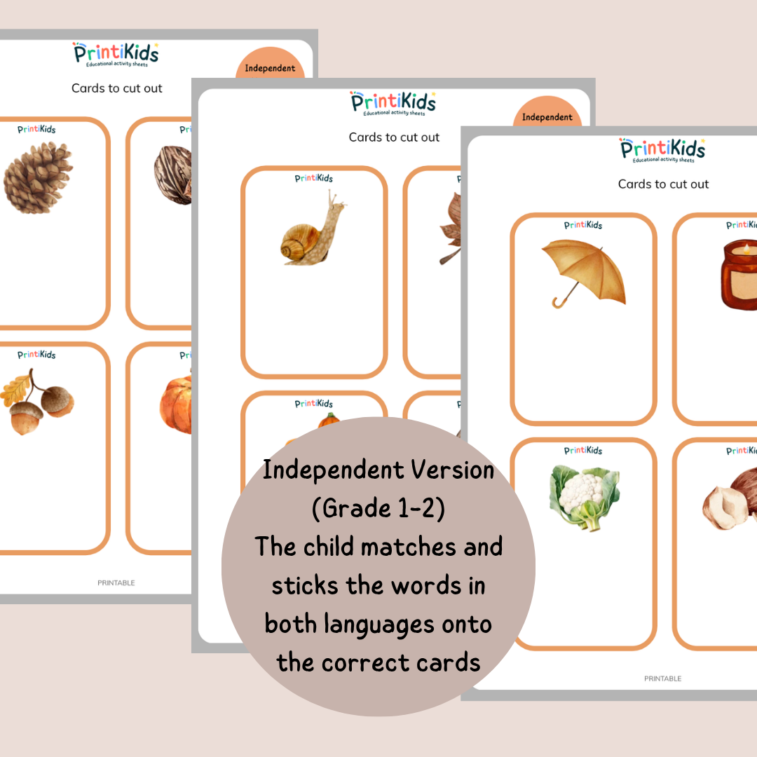 🇫🇷🇬🇧 Bilingual Fall Vocabulary Flashcards for Kids – Grades 1–2