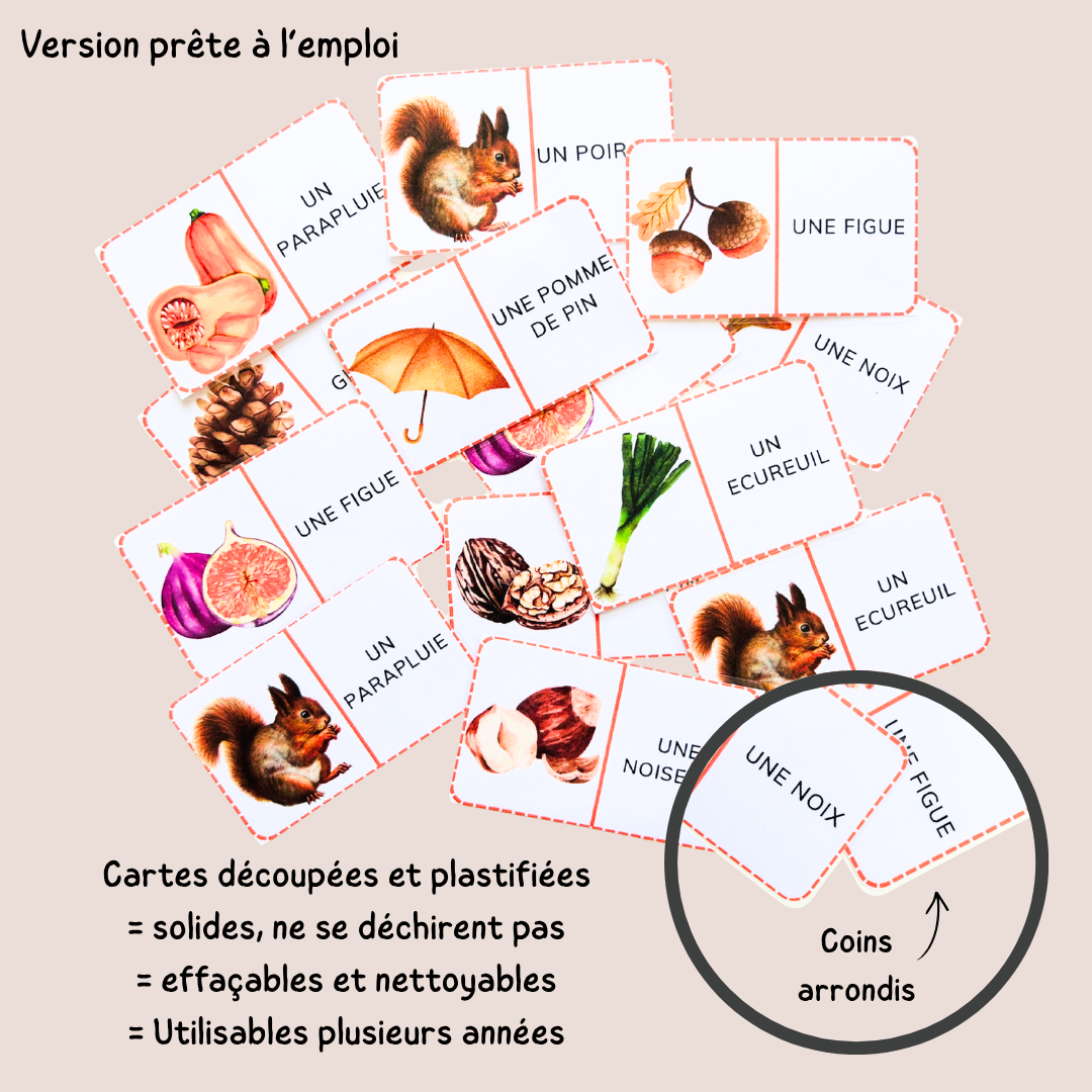 Domino de l'automne – Jeu de lecture et vocabulaire - CP CE1