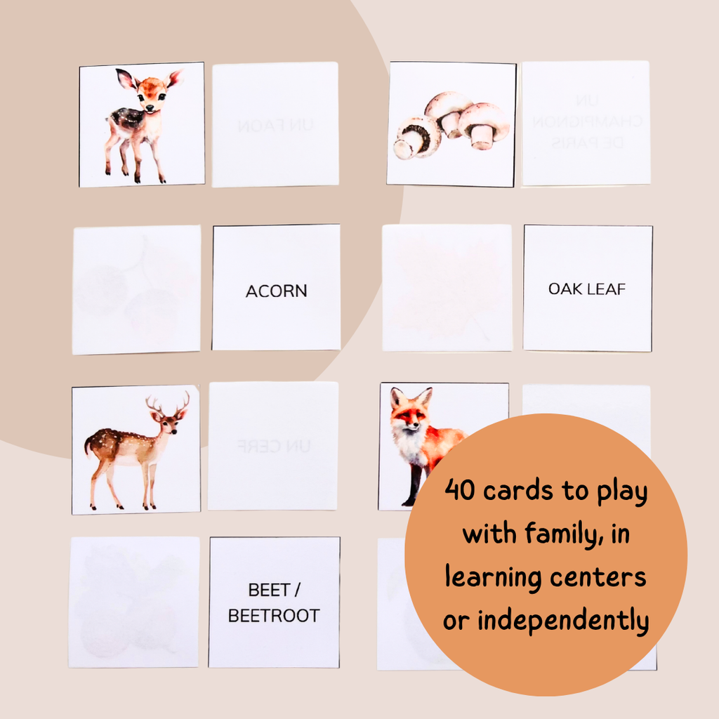 Fall Memory Game - Reading & Vocabulary Activity - Grade 1–3