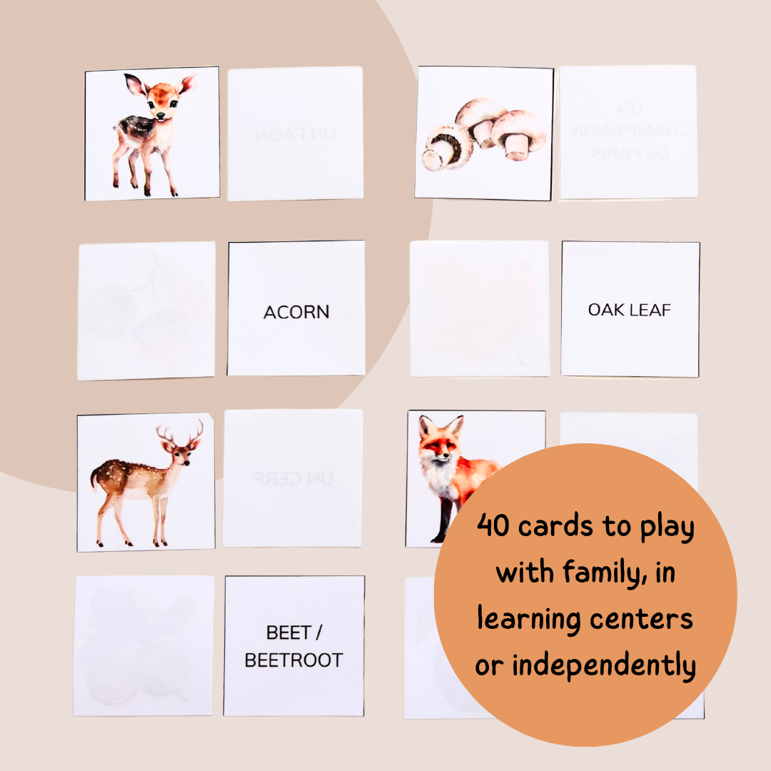Fall Memory Game - Reading & Vocabulary Activity - Grade 1–3