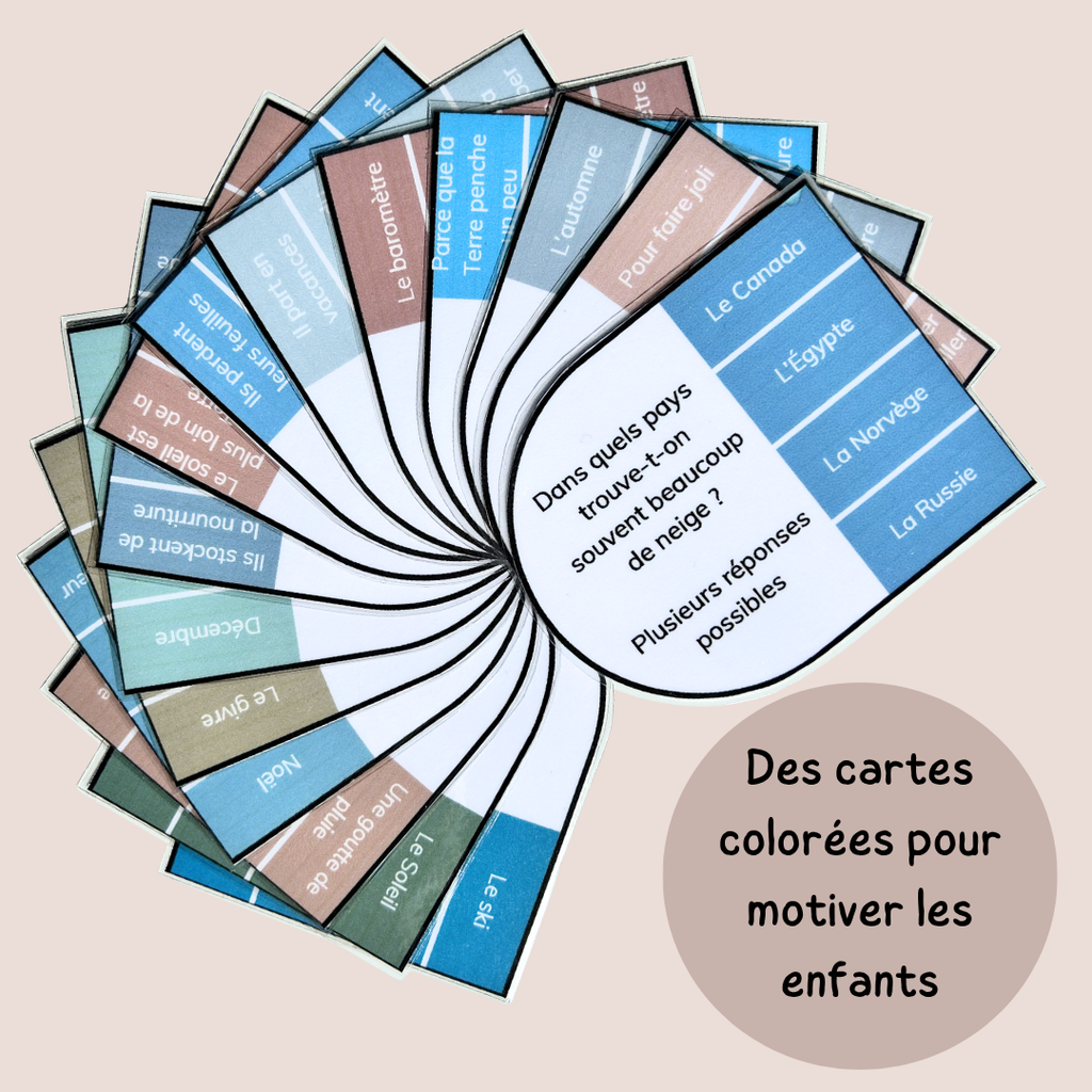 Cartes à pinces hiver – Lecture compréhension CP CE1 CE2