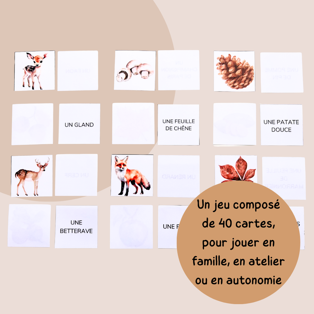 Memory de l’automne – Jeu de lecture et vocabulaire - CP CE1 CE2