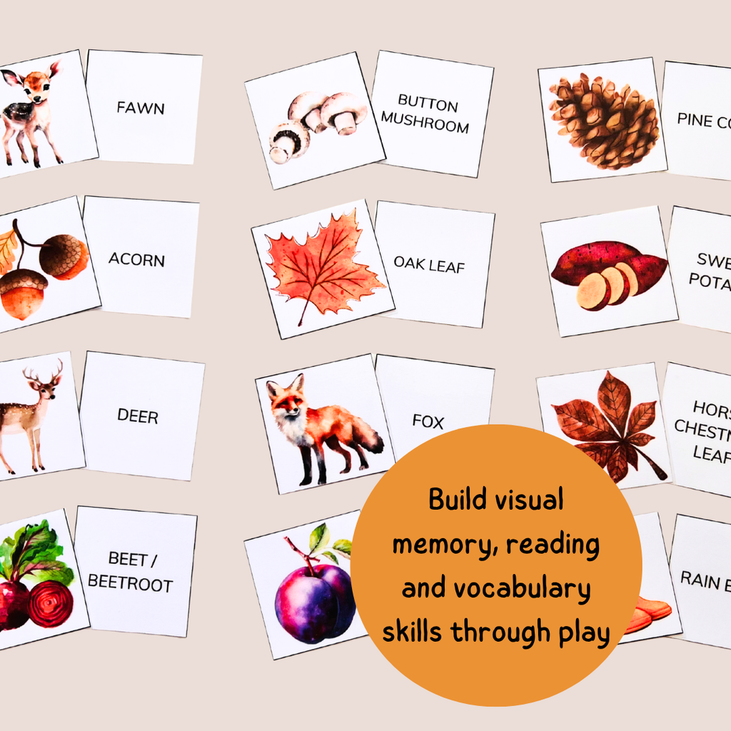 Fall Memory Game - Reading & Vocabulary Activity - Grade 1–3