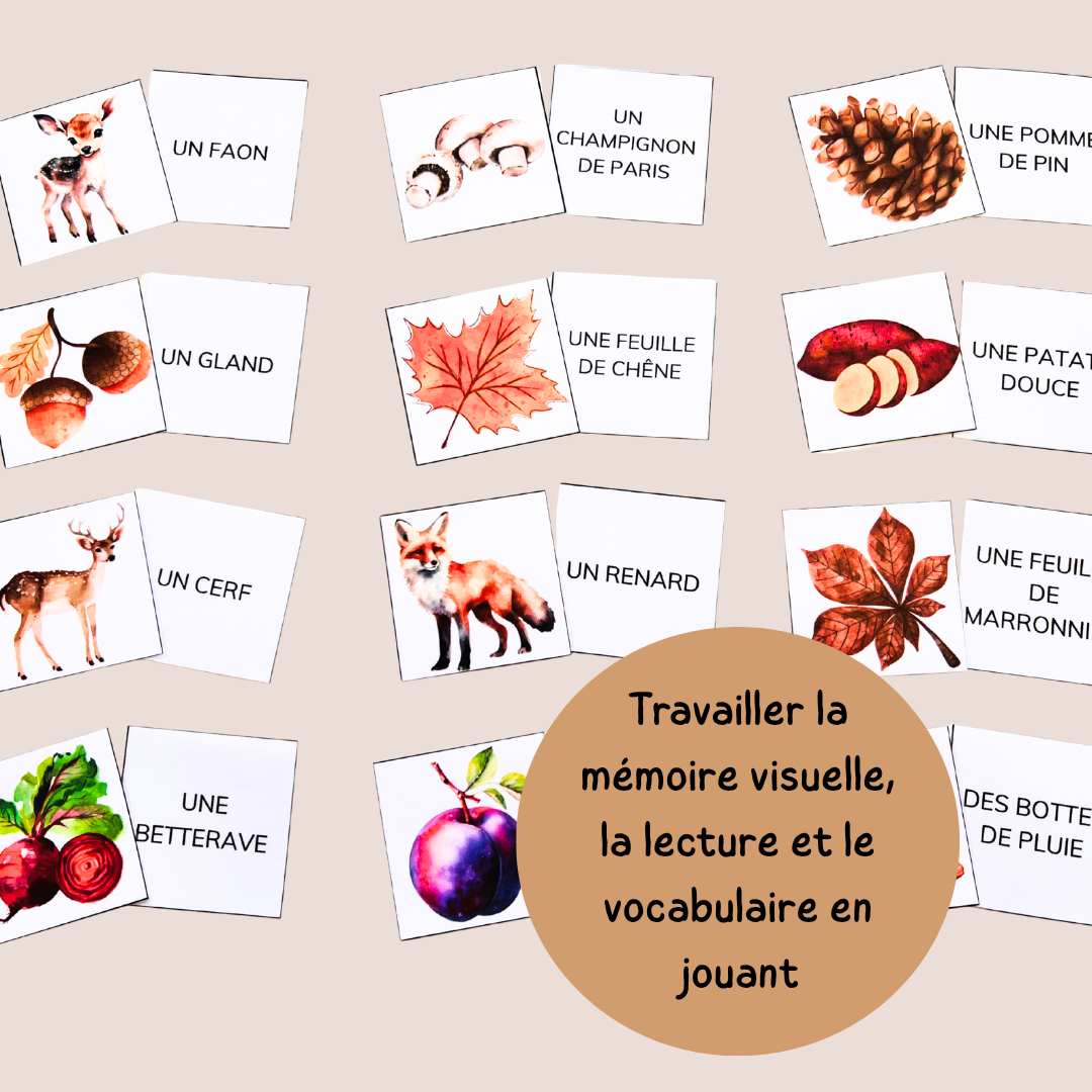 Memory de l’automne – Jeu de lecture et vocabulaire - CP CE1 CE2