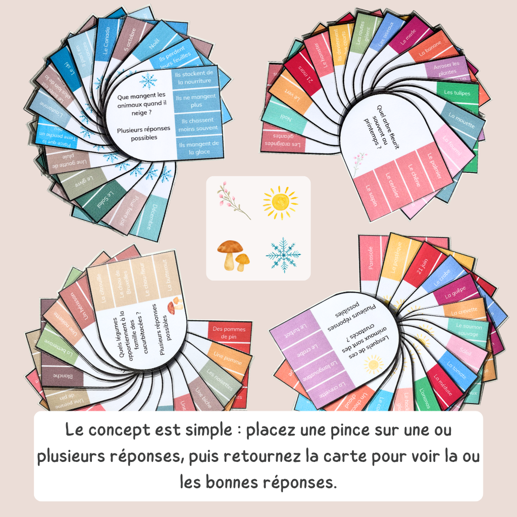 Cartes à pinces des saisons - activité autonome CP CE1