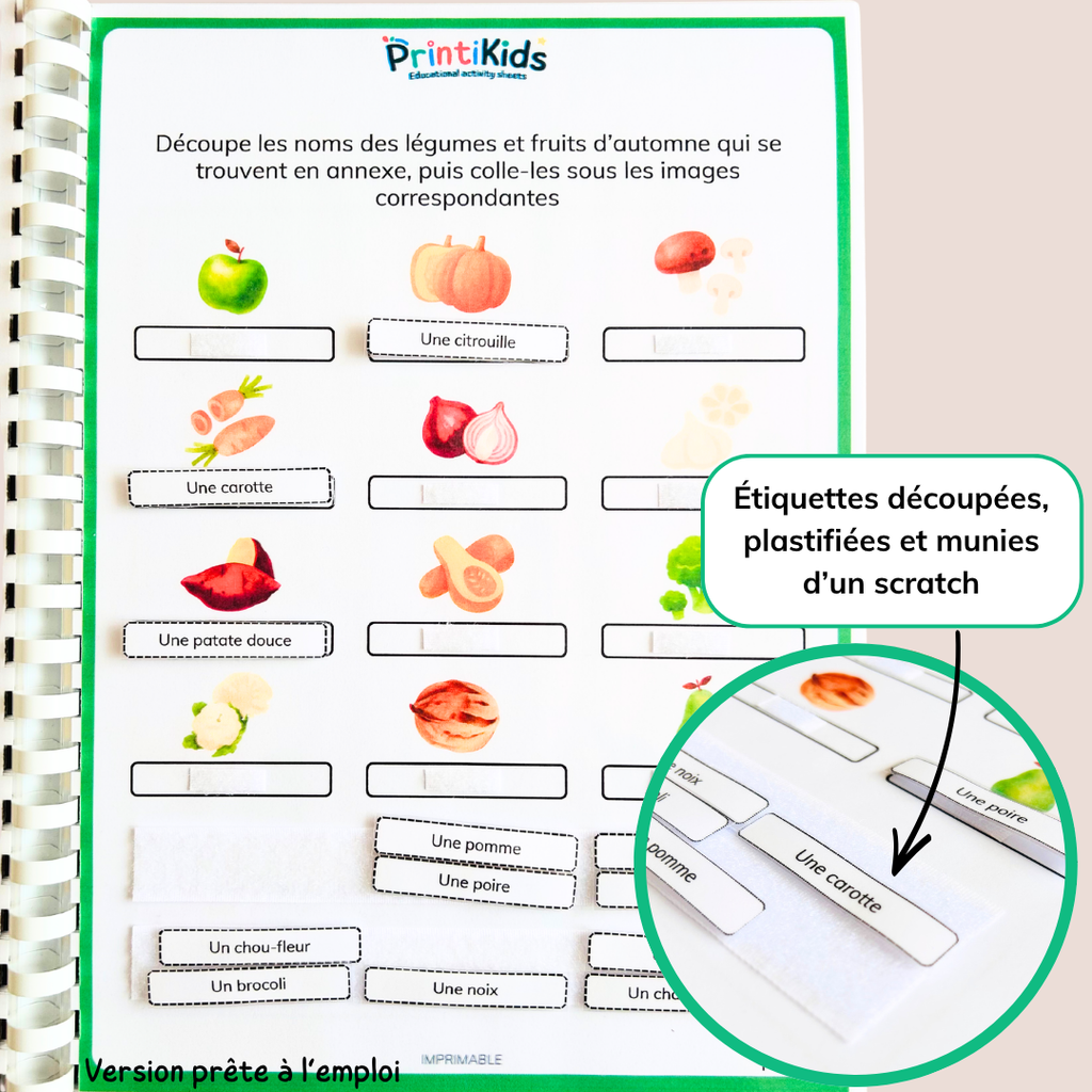 Pack activités automne – Pack de 20 fiches ludiques et éducatives - CP CE1