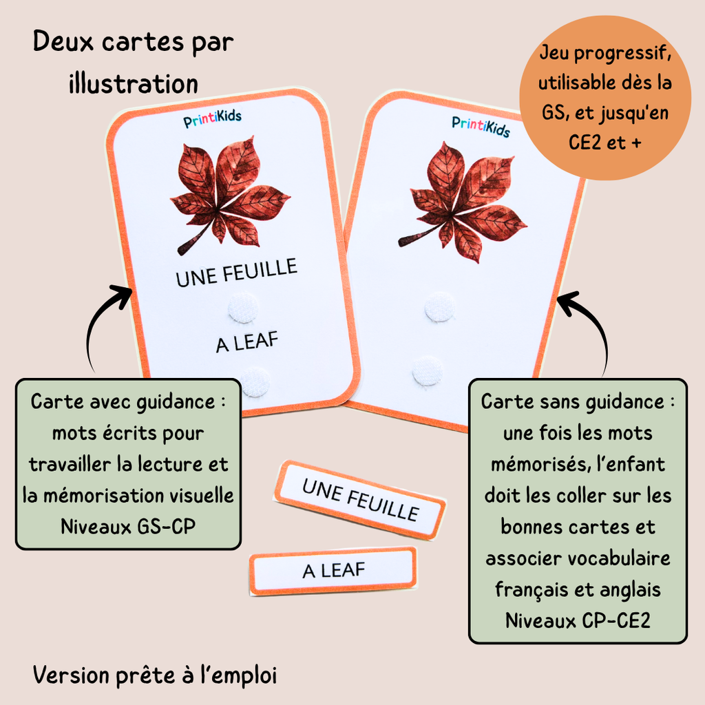 🇫🇷🇬🇧 Cartes de vocabulaire bilingues français anglais – Automne – GS CP CE1