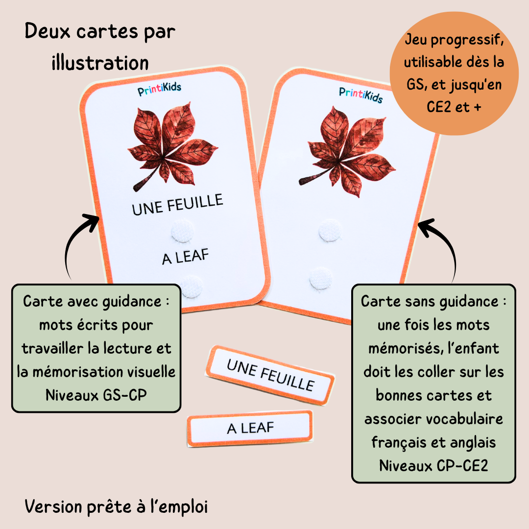 🇫🇷🇬🇧 Cartes de vocabulaire bilingues français anglais – Automne – GS CP CE1