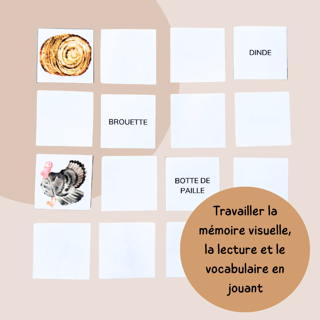 Pack jeux de la ferme - 4 jeux de vocabulaire et lecture - CP CE1
